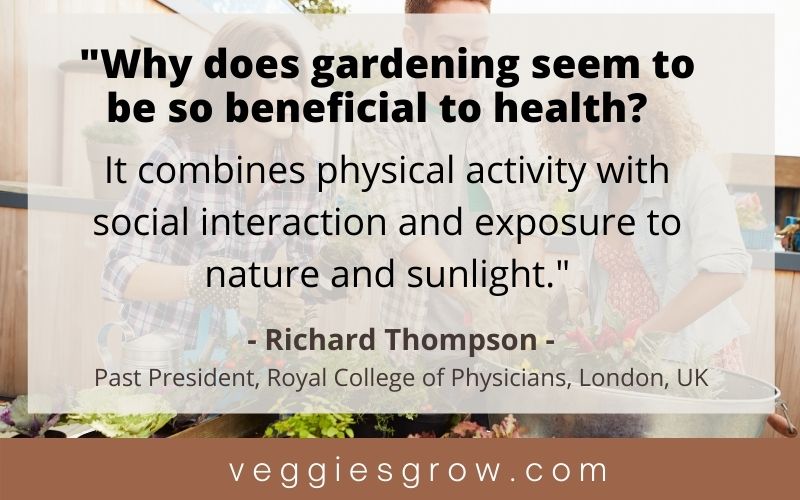 Gardening quote by Richard Thompson