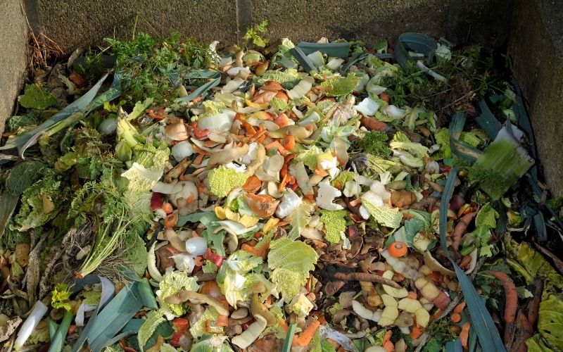 Vegetable food waste