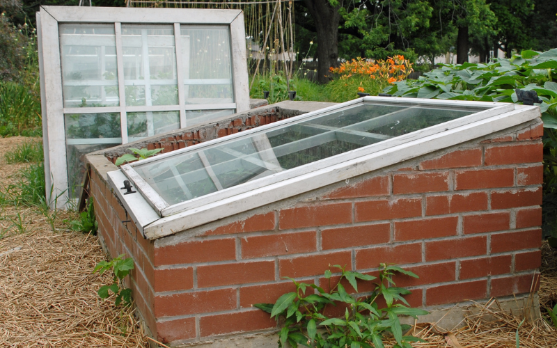 Cement and glass cold frame with the cover closed