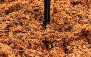 Coco peat - ideal to be used as mulch in a vegetable garden