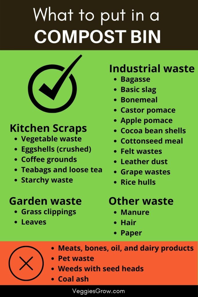 What to put in a compost bin