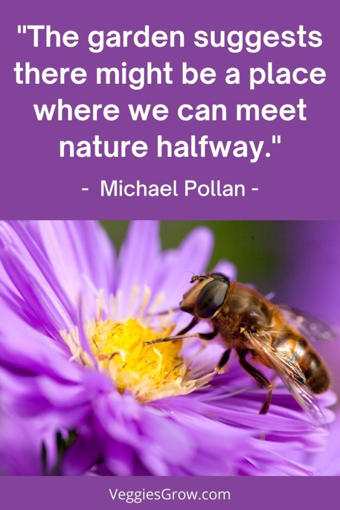 Michael Pollan Quote on Meeting Nature Halfway