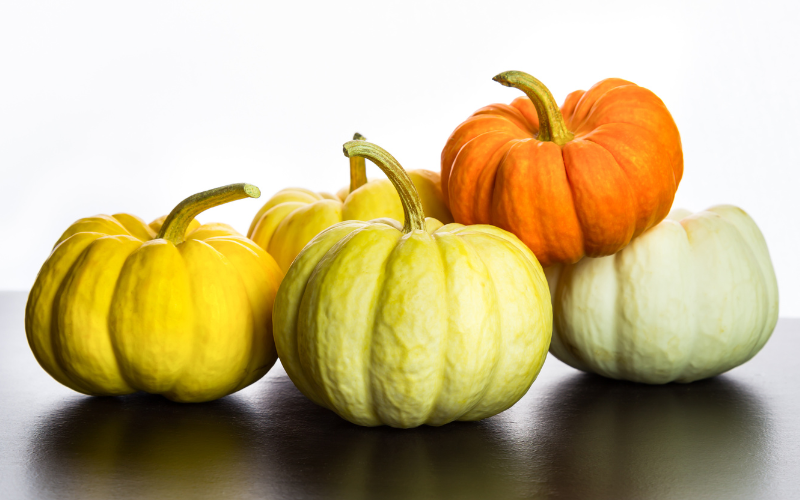 Miniature pumpkins as decorations