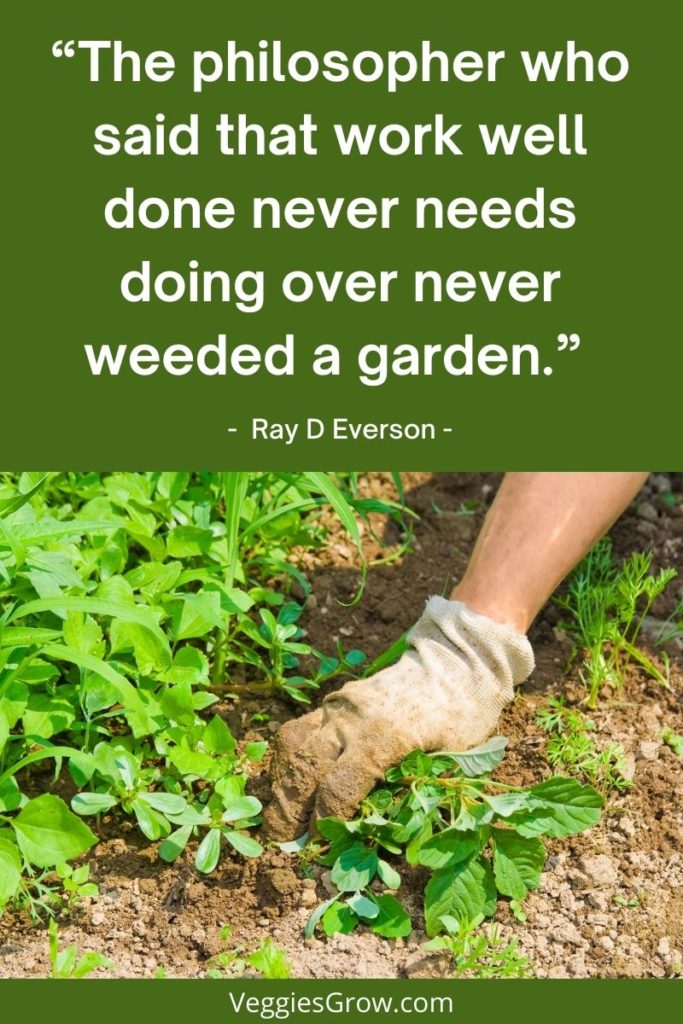 Ray D Everson Quote on Weeding