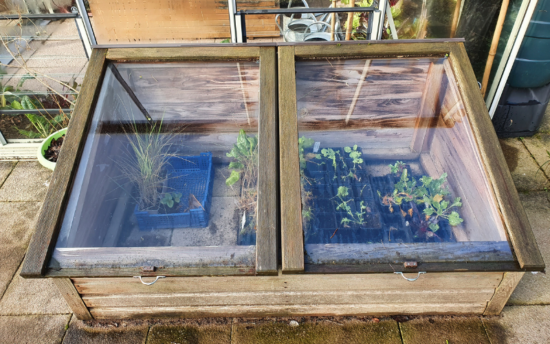 Wooden and glass cold frame