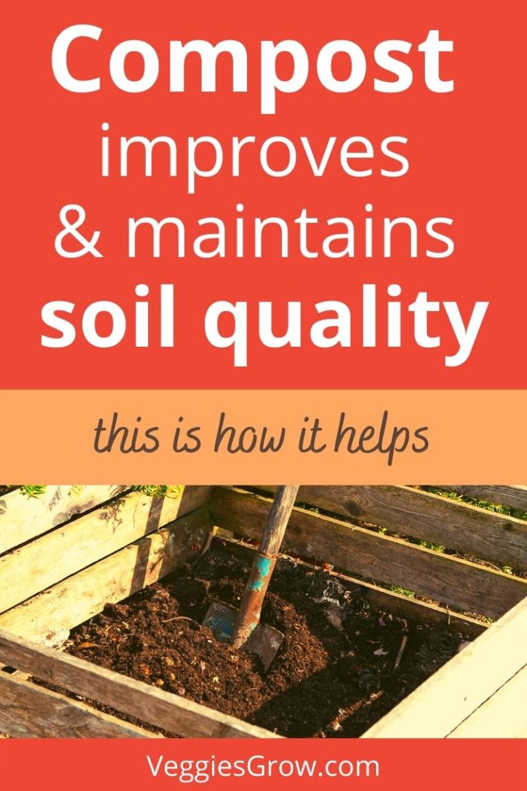 Compost improves and maintains soil quality: this is how it helps ...