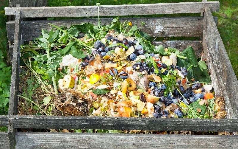 What can you put in a compost bin?