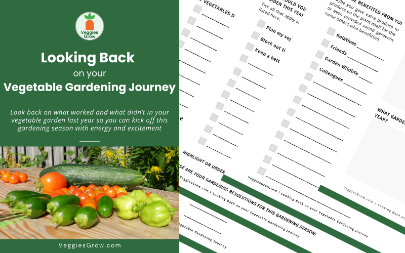 Review What Worked and What Failed Before Planning Your Next Vegetable Garden