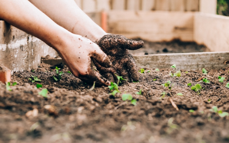 How to prepare your vegetable garden for a successful planting season