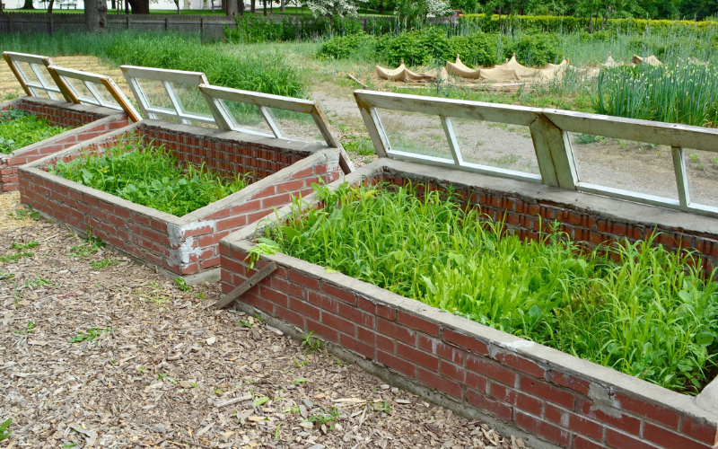 Using cold frames to grow the best possible cold weather vegetable garden